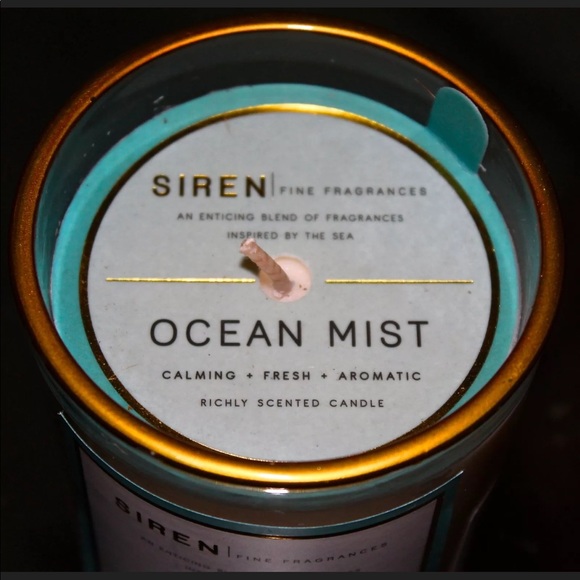 DW HOME CANDLE OCEAN MIST RICHLY SCENTED NEW 1 WICK - Picture 2 of 2